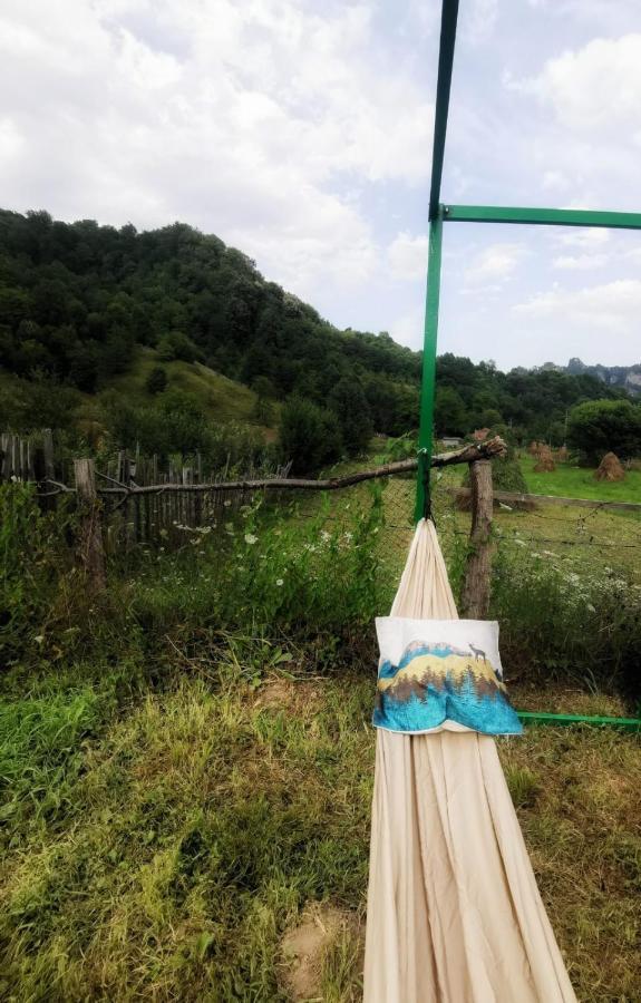 Luna Rock Glamping Brezoi - Blue Scai 外观 照片