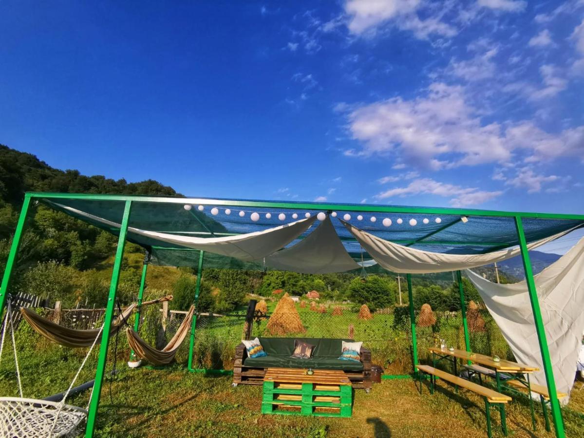 Luna Rock Glamping Brezoi - Blue Scai酒店 外观 照片